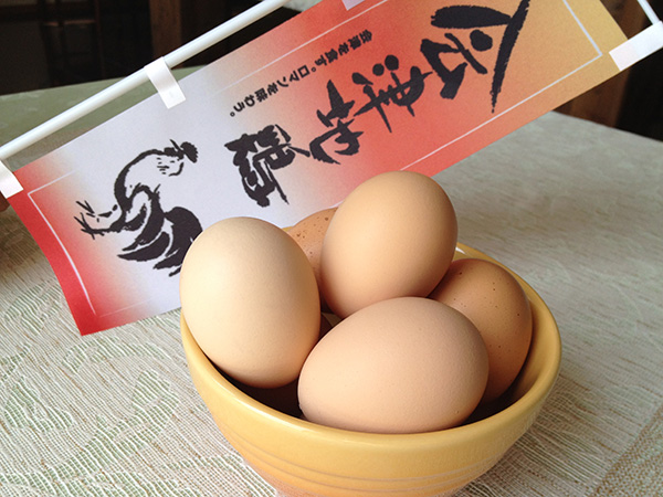 会津地鶏の卵