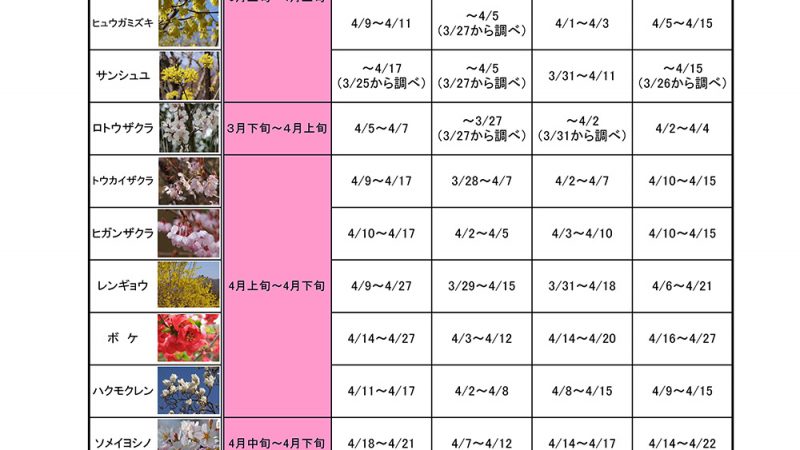 そろそろお花見情報がほしい時期ですよね～